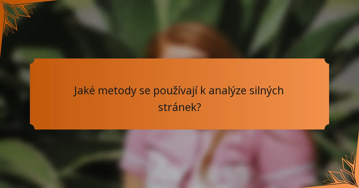 Jaké metody se používají k analýze silných stránek?